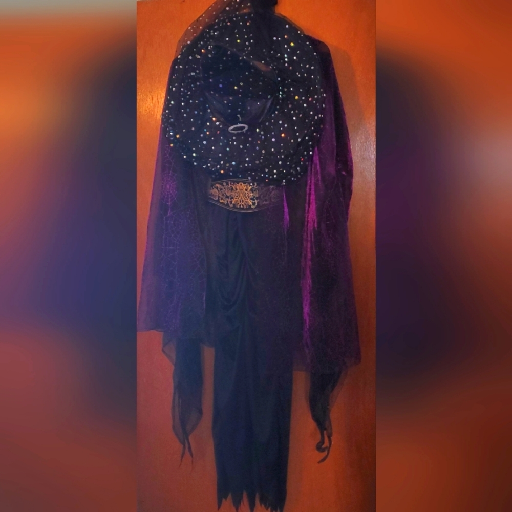 Elegant Witch Hallowe'en Costume size adult small, unique!